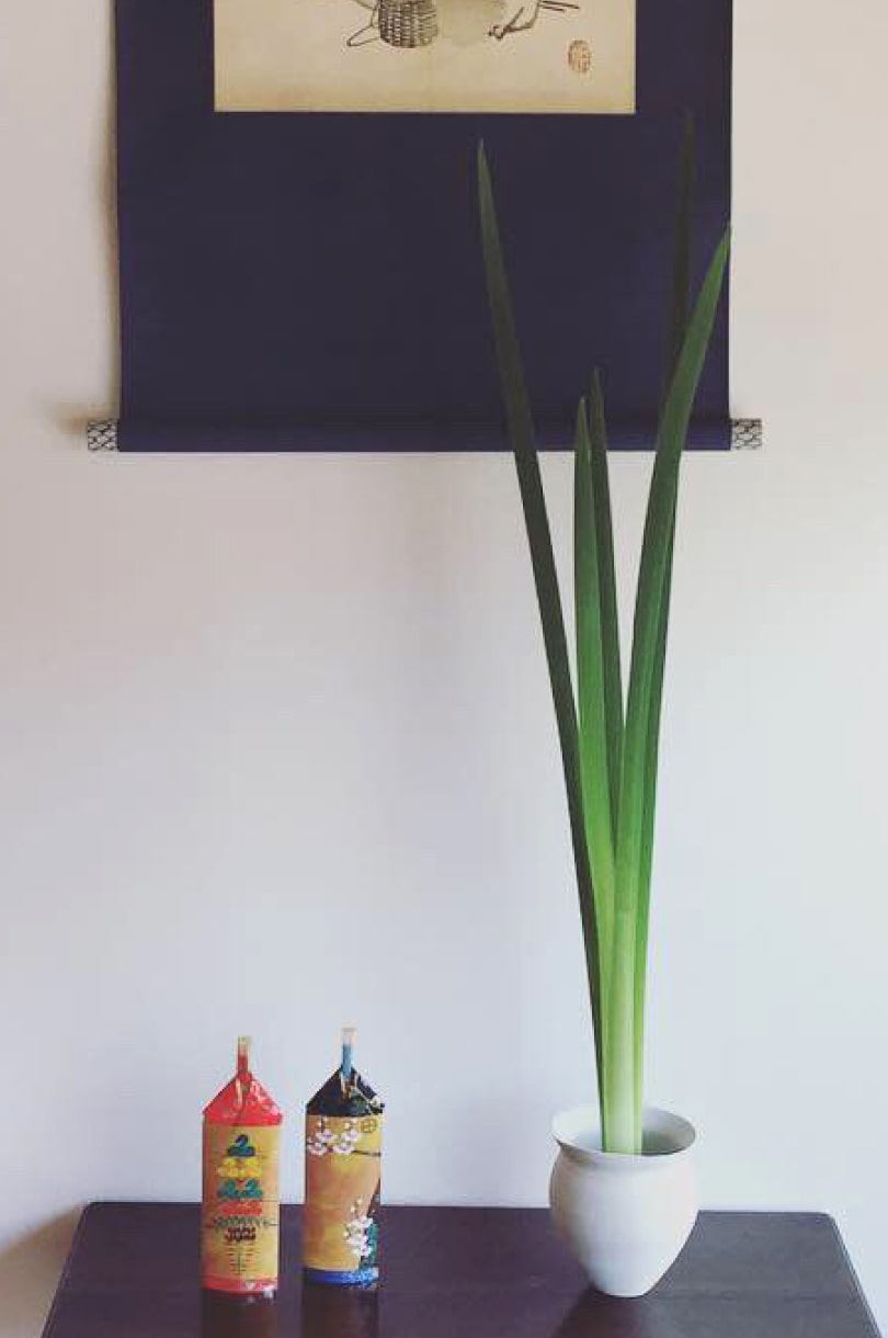 生け花教室で使う花「菖蒲」