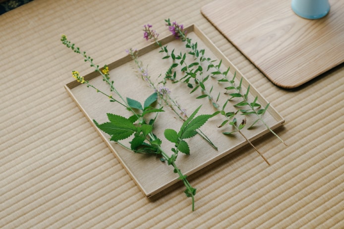 いけばな教室ので使用する花