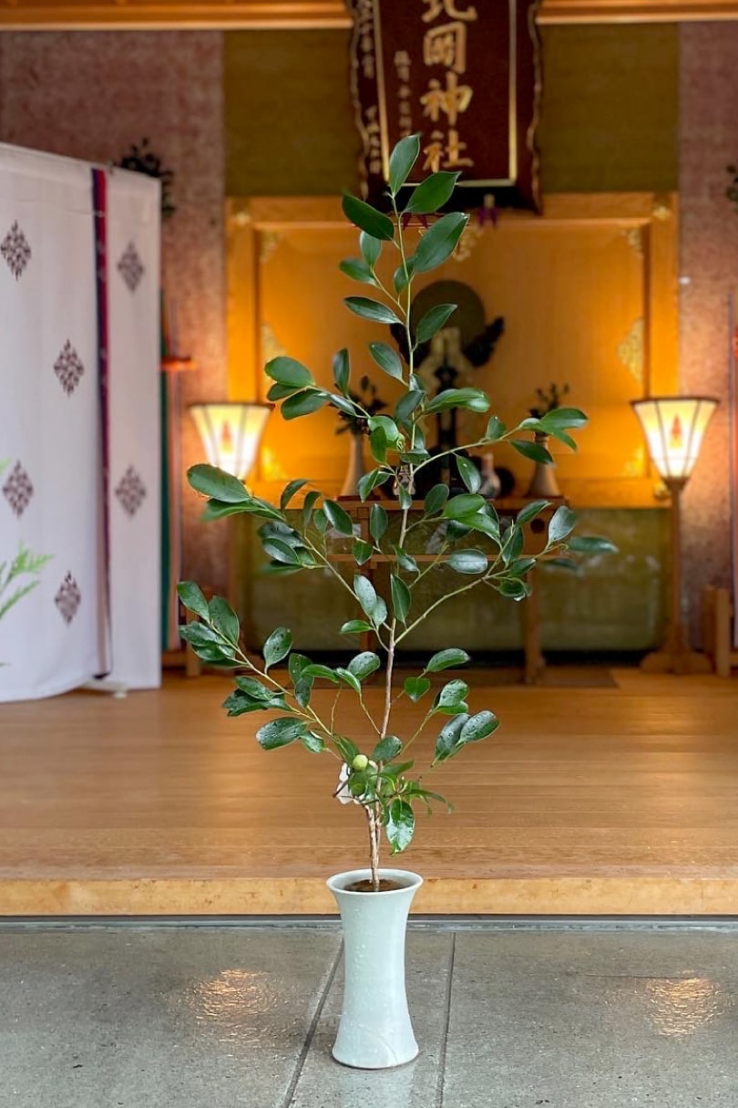 生花教室の生徒のいけばな作品